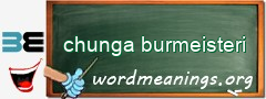 WordMeaning blackboard for chunga burmeisteri